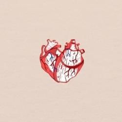 Hearts Release Chords by Jason Yu