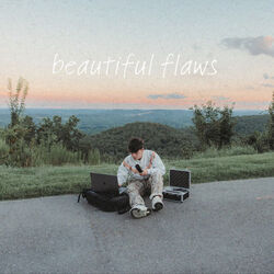 Beautiful Flaws Chords by Jayy