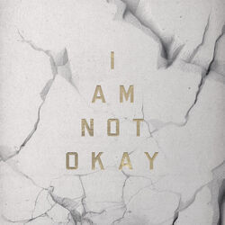 I Am Not Okay Tab by Jelly Roll