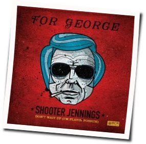 All Of This Could Have Been Yours by Shooter Jennings