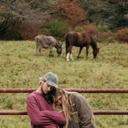 Emily Chords by Jeremy Zucker