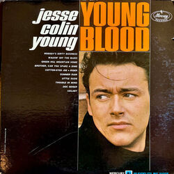 Little Suzie Chords by Jesse Colin Young
