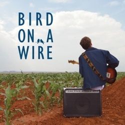 Bird On A Wire by Jesse Harvey