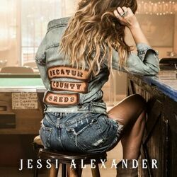 I Should Probably Go Now Chords by Jessi Alexander