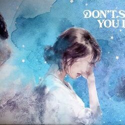 Don't Say You Love Me Chords by Jin (진)