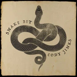 Snake Bit Chords by Cody Jinks