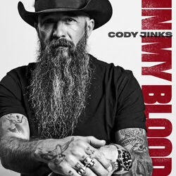 When You Can't Remember Chords by Cody Jinks
