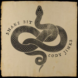 Snake Bit Chords by Cody Jinks