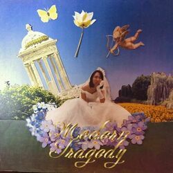 Sabrina Don't Get Married Again Chords by Joanna Wang