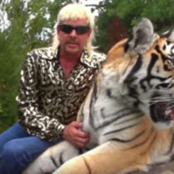 I Saw A Tiger Chords by Joe Exotic