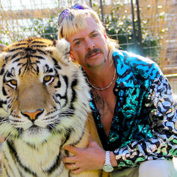 Here Kitty Kitty by Joe Exotic