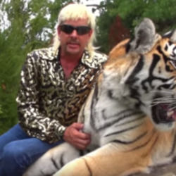 I Saw A Tiger by Joe Exotic