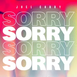 Sorry by Joel Corry
