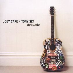 Stunt Double Ukulele by Joey Cape And Tony Sly