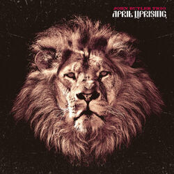 Revolution Chords by John Butler Trio