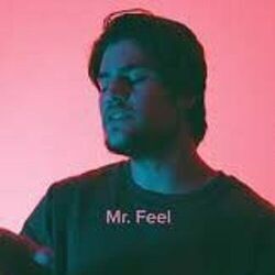Mr Feel Chords by John Michael Howell
