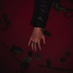 Red Rose Chords by Johnny Huynh