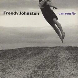 Responsible Chords by Freedy Johnston