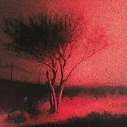 Piece Of You Chords by Joji