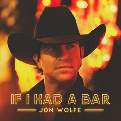 If I Had A Bar Chords by Jon Wolfe