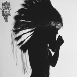 Ladybird by Jonathan Tyler And The Northern Lights