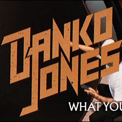 I Love It Louder Chords by Danko Jones
