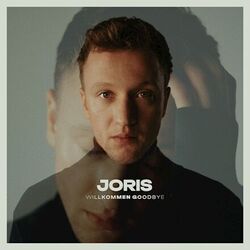 Joris chords for Steine