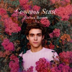 Common Sense Ukulele Chords by Joshua Bassett