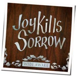 Get Along Chords by Joy Kills Sorrow