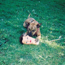 Make Me Dumb Chords by Joyce Manor
