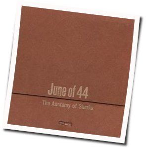 Seemingly Endless Steamer Tab by June Of 44