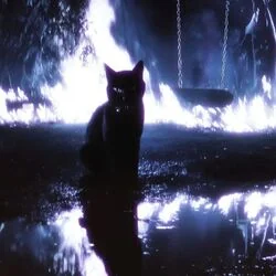 Mi Gata Chords by Junior H