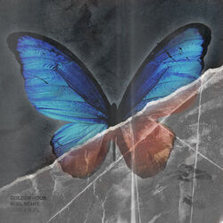 Golden Hour - Ruel Remix Chords by JVKE