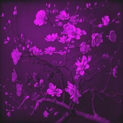 This Is What Screaming Feels Like Chords by JVKE