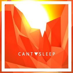 Can't Sleep Bass tabs by K.flay