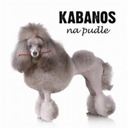 Marysia Chords by Kabanos