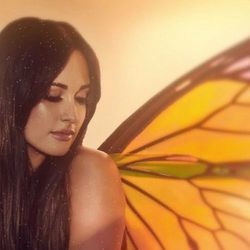Butterflies  Chords by Kacey Musgraves