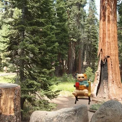 See Yah Later Chords by Kailyn