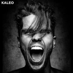 Break My Baby Tab by Kaleo