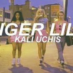 Tiger Lily Chords by Kali Uchis