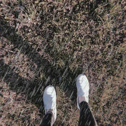 Seasons Change Tab by Kallista Rowan