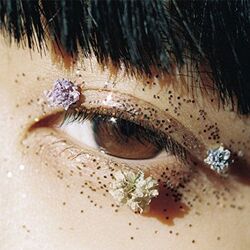 Grapefruit Chords by Kaneko Ayano