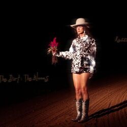 Bar Fight Chords by Kassi Ashton