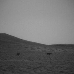 I Don't Think Were Friends Anymore Chords by Kate Stephenson