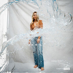 Nicer Tab by Katelyn Tarver