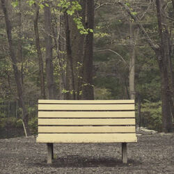 We Will Fall Together Chords by Toh Kay
