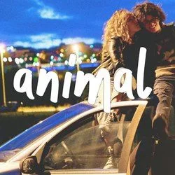 Animal Chords by Kayden