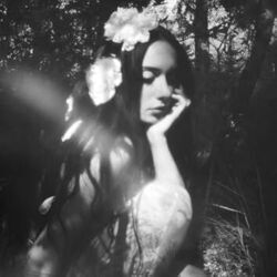 Wieder Chords by Kayla Shyx