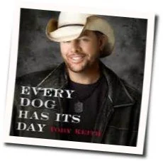 Every Dog Has It's Day Tab by Toby Keith