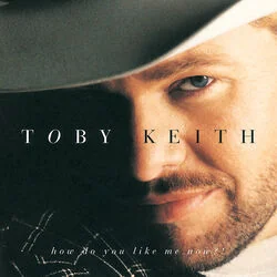 Heart To Heart Stelens Song Chords by Toby Keith